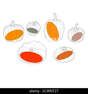 Set di zucca trasparente. Illustrazione vettoriale isolata su sfondo bianco. Cibo vegetariano sano. Stile Doodle. Decorazione per biglietti d'auguri, poste Illustrazione Vettoriale