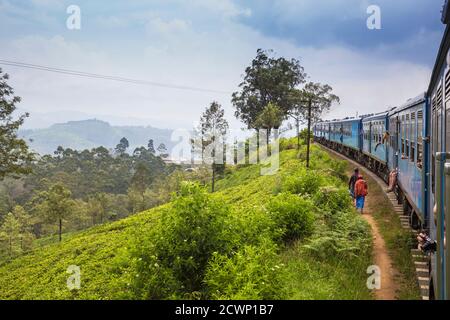 Sri Lanka, Nuwara Eliya, Kandy a Badulla treno accanto piantagione di tè Foto Stock