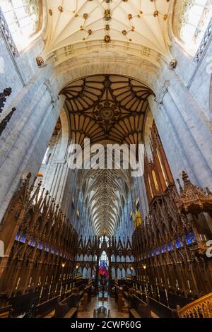 Inghilterra, Hampshire, Winchester, Winchester Cathedral, le bancarelle del coro Foto Stock