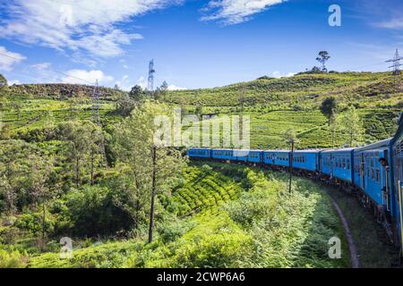 Sri Lanka, Nuwara Eliya, Kandy a Badulla treno lungo la tenuta del tè Foto Stock