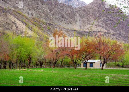 Fotografia di paesaggio nella stagione di primavera nelle zone settentrionali del Pakistan Foto Stock