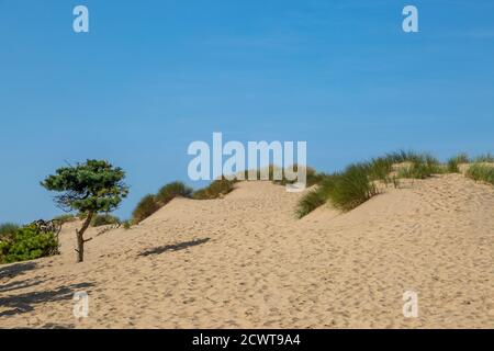 Dune di sabbia sotto un cielo blu, a Formby sulla costa del Merseyside Foto Stock