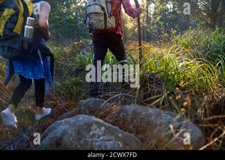 Coppia con zaini trekking in erba alta Foto Stock