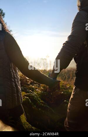 Coppia affettuosa che tiene le mani nella natura soleggiata Foto Stock