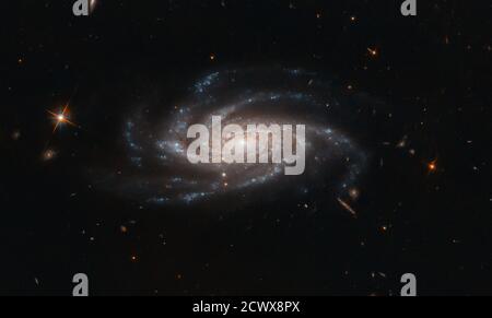 Il telescopio spaziale Hubble cattura la galassia a spirale NGC 2008, situata a 425 milioni di anni luce dalla Terra nella costellazione Pictor. Scoperta nel 1834 da John Herschel, NGC 2008 è classificata come una galassia a spirale "SC", caratterizzata dai suoi bracci a spirale distinti. Questa immagine evidenzia l'intricata struttura della galassia e le caratteristiche dettagliate visibili attraverso il telescopio. Foto Stock