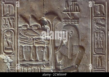 Bassorilievo raffigurante l'offerta di fiori di loto, papiro e uccelli al Tempio di Seti i, Abydos Foto Stock