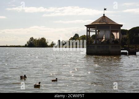 Lago di Massaciuccoli visto da Torre del Lago. Viareggio. Toscana. Italia Foto Stock
