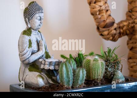 Varietà mista di belle piante succulente e cactus terrarium con buddha. Foto Stock