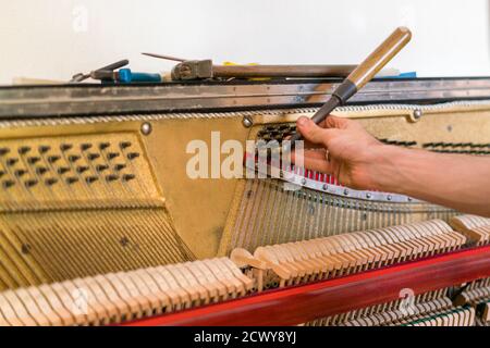 Processo di sintonizzazione del pianoforte. Primo piano della mano e strumenti di sintonizzazione che lavorano al pianoforte a coda. Vista dettagliata di piano verticale durante una sintonizzazione Foto Stock