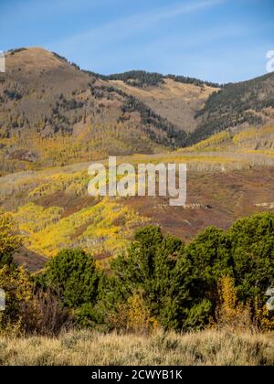 Le pendici delle montagne la SAL, nello Utah, USA, ricoperte di querce e Quicking Aspen, in colori autunnali, in giornate di sole Foto Stock
