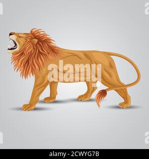 vista laterale del leone arrabbiato sfondo bianco isolato. illustrazione vettoriale. Illustrazione Vettoriale