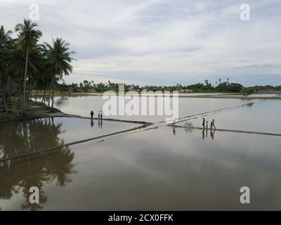 PENAGA, Penang/Malaysia - Nov 01 2019: La gente gode di un paesaggio di turismo ecologico presso la fattoria di cocco. Foto Stock