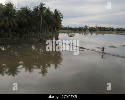 PENAGA, Penang/Malaysia - Nov 01 2019: Contadino che va a casa e ciclo turistico in fattoria a Kampong Agong. Foto Stock