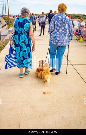 Due Signore anziane che camminano due cani dashund in estate indossare abiti  floreali Foto stock - Alamy