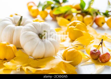 La natura morta dell'autunno con foglie colorate, frutta deco d'autunno e zucche bianche per il Ringraziamento Foto Stock
