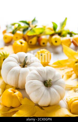 La natura morta dell'autunno con foglie colorate, frutta deco d'autunno e zucche bianche per il Ringraziamento Foto Stock