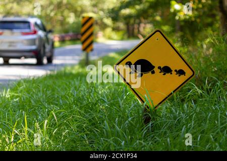 Un cartello stradale in un rifugio faunistico che avverte i conducenti di animali selvatici che attraversano la strada. Mira a evitare che gli animali vengano colpiti dalle automobili. Viene visualizzato un segnale Foto Stock