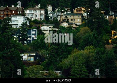 Vista grandangolare di un'aquila baldera che vola di fronte di case residenziali Foto Stock