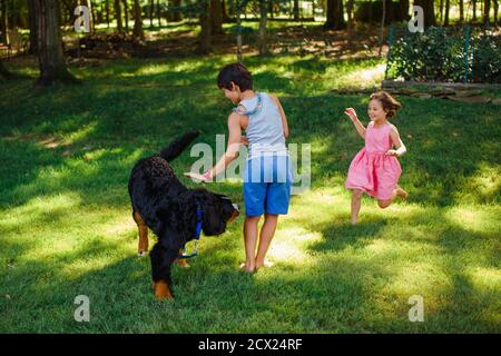 Due bambini felici giocano insieme con il cane in un cortile illuminato dal sole e boscoso Foto Stock