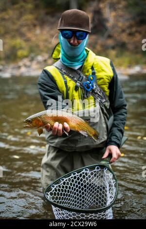 L'uomo la cattura del pesce di fiume Foto Stock