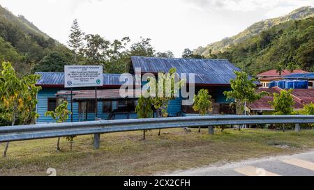 Kiulu, Sabah, Malaysia: Alcuni alberi - piantati dal programma forestale per bambini OISCA - di fronte agli edifici scolastici della scuola elementare 'SK Kiau' Foto Stock