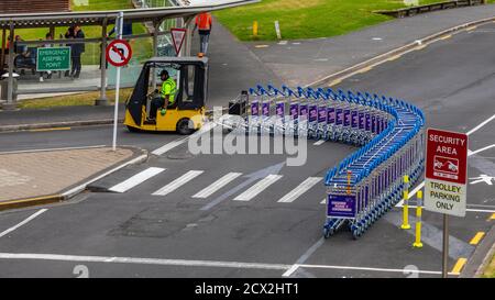 Auckland, Nuova Zelanda: Un cart mover del bagaglio sta restituendo i cart a spinta del bagaglio stornato con un veicolo alimentato a batteria all'Aeroporto Internazionale di Auckland Foto Stock