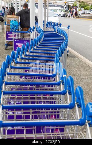 Auckland, Nuova Zelanda: Una fila di carrelli a spinta per bagagli all'Aeroporto Internazionale di Auckland Foto Stock