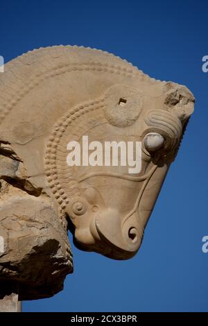 Capitale del toro. Colonne Achemenide scolpite a Persepolis, Iran. Sala di 100 colonne, Foto Stock