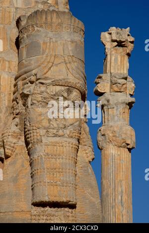 La porta di tutte le nazioni, Persepolis, Iran. Lamassus, tori con le teste di uomo barbuto Foto Stock