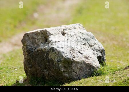 Un grande masso che riposa sulla lussureggiante erba verde del Parco Nazionale di Dartmoor, Devon, Inghilterra Foto Stock