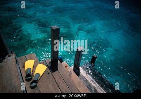 Acque turchesi al largo di Pulau Menjangan, un popolare punto di immersione e parte del Bali Barat National Park, Indonesia. Molo di Waka Shorea Resort Foto Stock