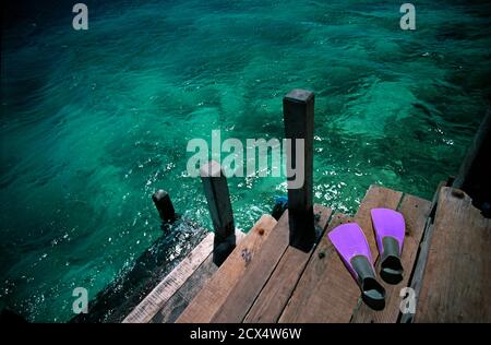 Acque turchesi al largo di Pulau Menjangan, un popolare punto di immersione e parte del Bali Barat National Park, Indonesia. Molo di Waka Shorea Resort Foto Stock