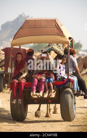 I turisti domestici indiani che cavalcano su un carrello di cammello alla fiera del cammello di Pushkar, Rajasthan, India Foto Stock