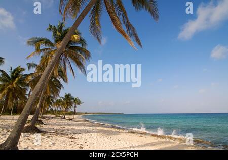 La spiaggia di Maria La Gorda, Pinar del Rio, Cuba Foto Stock