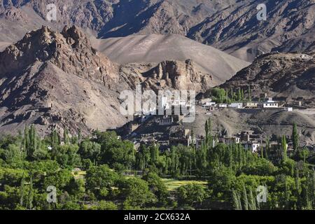 Villaggio montano buddista tibetano, alberi verdi e case sul pendio di una gola di montagna Foto Stock