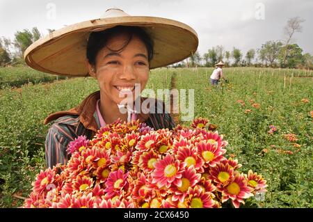 Picker birmano, Pyin Oo Lwin. Maymyo, vicino a Mandalay, Birmania. Mandalay. MODELLO RILASCIATO Foto Stock