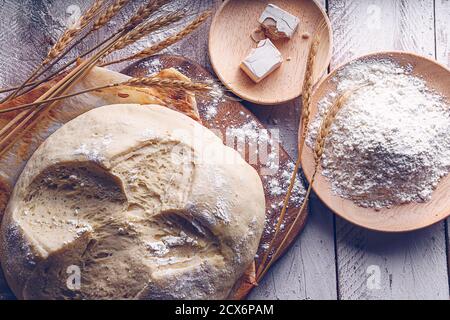 Pane fermentato con punte di grano, farina e lievito. Concetto gastronomico tradizionale Foto Stock