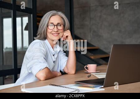 Donna mature sorridente di mezza età seduto sul posto di lavoro con notebook, ritratto. Foto Stock
