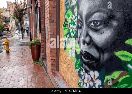 Street Art/murales a sostegno del movimento Black Lives Matter su Walnut Street - Downtown Asheville, North Carolina, USA Foto Stock