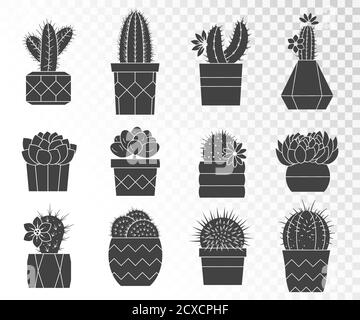 Serie vettoriale di cactus e succulenti in vasi di fiori. Collezione di silhouette. Illustrazione Vettoriale