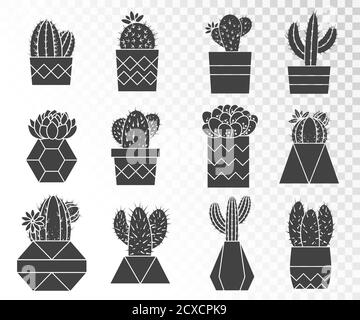 Serie vettoriale di cactus e succulenti in vasi di fiori. Collezione di silhouette. Illustrazione Vettoriale