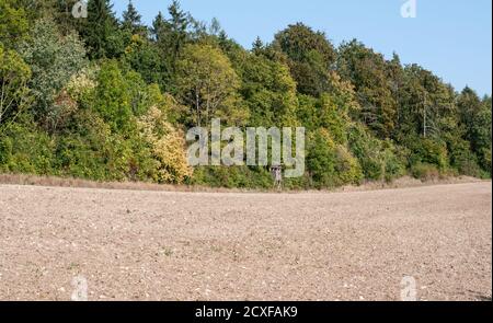 un stand di caccia in legno ai margini di una foresta in un paesaggio rurale in autunno Foto Stock