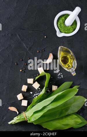 Ingredienti per pesto e pesto ramson in Malta ceramica. Mazzetto di ramson, olio d'oliva, parmigiano, aglio, sale e pepe su bac nero testurizzato Foto Stock