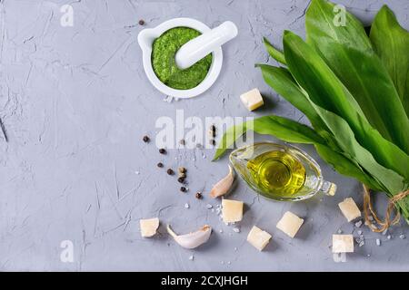 Ingredienti per pesto e pesto ramson in Malta ceramica. Mazzetto di ramson, olio d'oliva, parmigiano, aglio, sale e pepe sul dorso grigio testurizzato Foto Stock