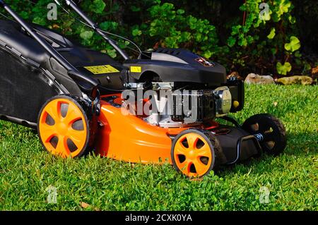 Tosaerba a benzina a 4 tempi Calahonda Voltor 139cc con valvola in testa, Spagna. Foto Stock