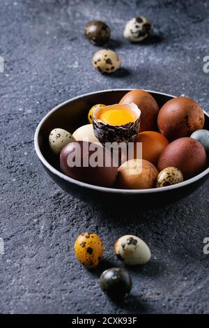 Uova di Pasqua di pollo e quaglia di colore marrone e grigio in ciotola nera di ceramica con tuorlo su fondo nero di struttura di cemento. Primo piano, spazio di copia Foto Stock