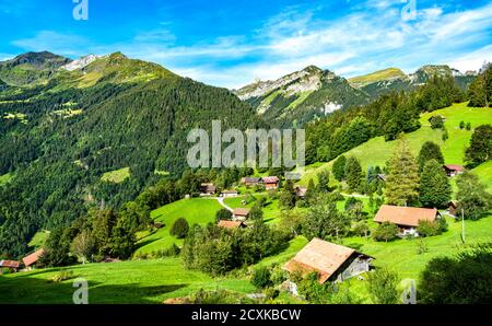 Case tradizionali in legno a Wengen, Svizzera Foto Stock