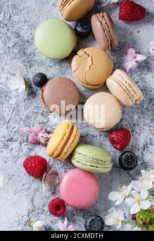 Varietà di coloratissimi francese dessert dolci macaron amaretti con vari ripieni serviti con fiori di primavera e bacche su grigio Sfondo texture Foto Stock