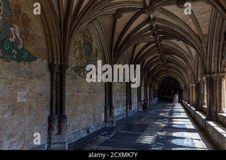 Norwich Cathedral chiostri, Norfolk, Inghilterra Foto Stock