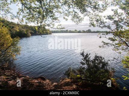 Intorno al Regno Unito - sentiero e viste intorno Anglezarke Reservoir, vicino Belmont Foto Stock